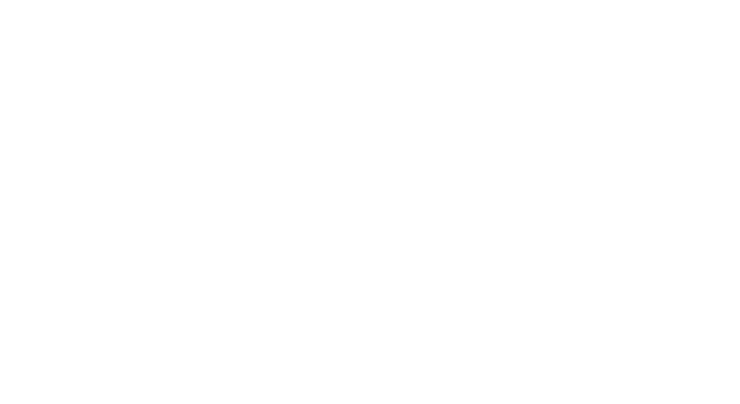 Bareen logo
