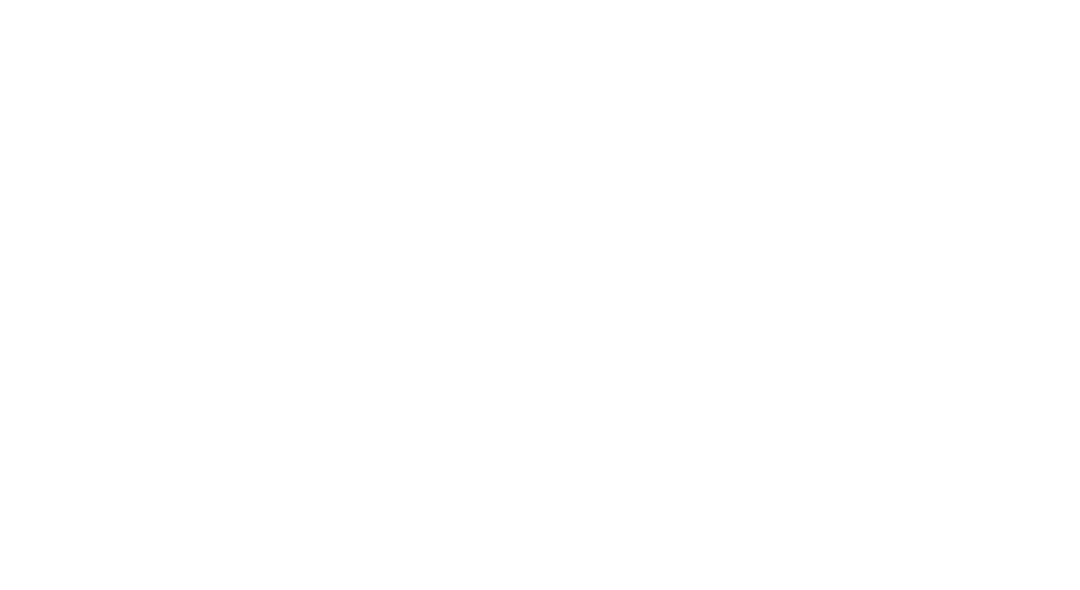 SAYSKY logo